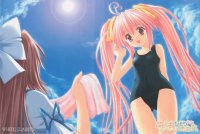 BUY NEW white clarity - 110297 Premium Anime Print Poster